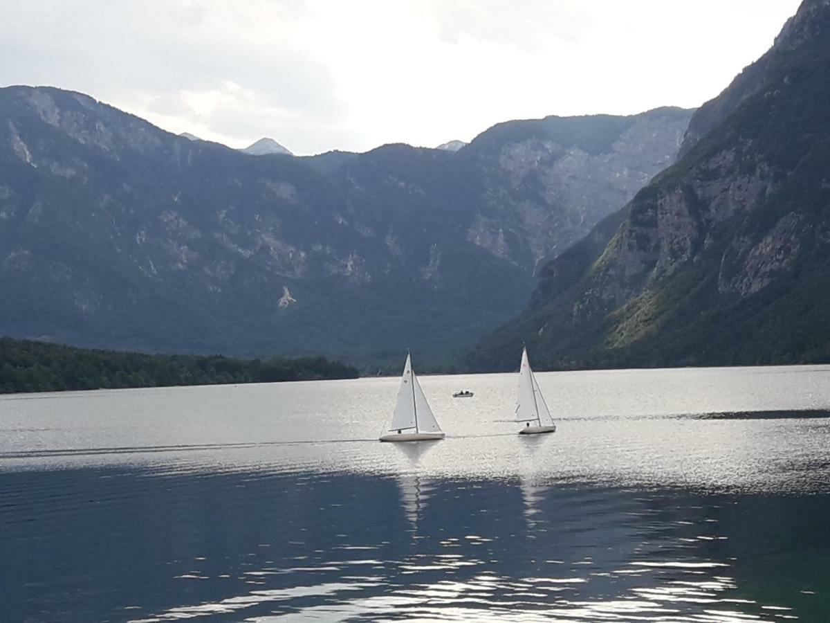 Snezak 2 Apartment Bohinj Luaran gambar