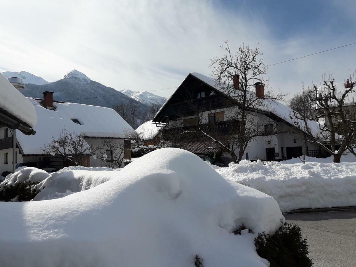 Snezak 2 Apartment Bohinj Luaran gambar